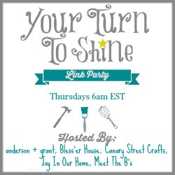 Your Turn To Shine link party.  Every Thursday, 6am EST.  Hosted by Canary Street Crafts