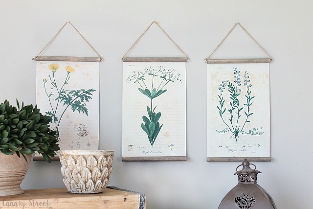 BOTANICAL PRINT WITTE Botanical Art Print 7 Larkspur Most Beautiful In –  Love the Print